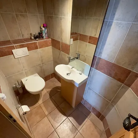 Alpehytte Grand Au Centre Anzère